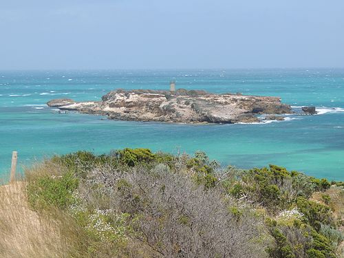 Penguin Island (South Australia)